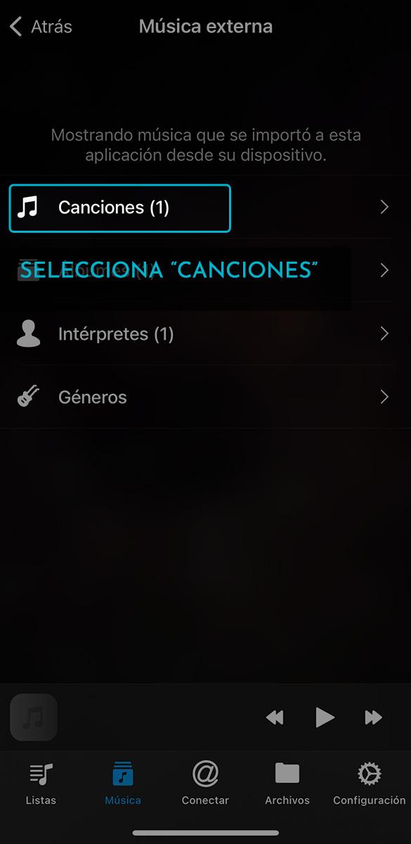 Como escuchar tus descargas en iOS -  NS Music