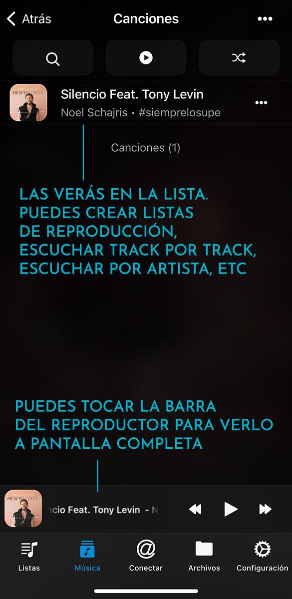 Como escuchar tus descargas en iOS -  NS Music